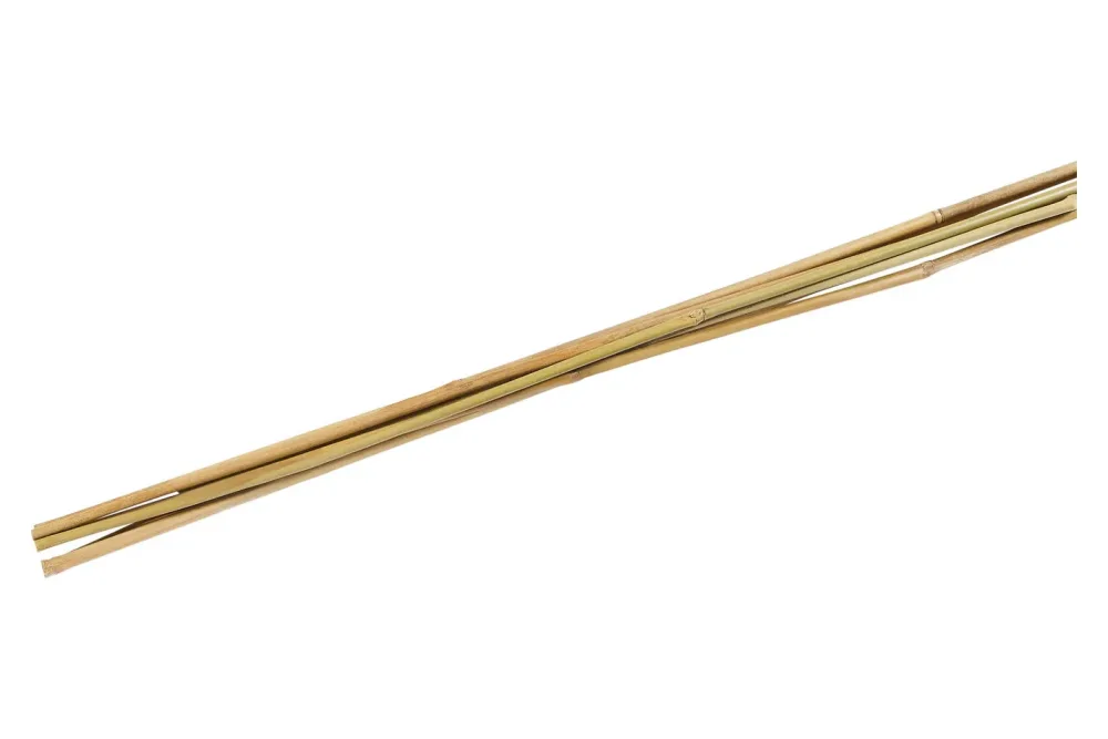 Pflanzenstab Bambus | 90 cm | 6 Stück