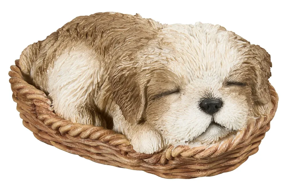 Vivid Shih-Tzu Welpe im Körbchen Braun | 7.9 × 11.5 × 16.5 cm