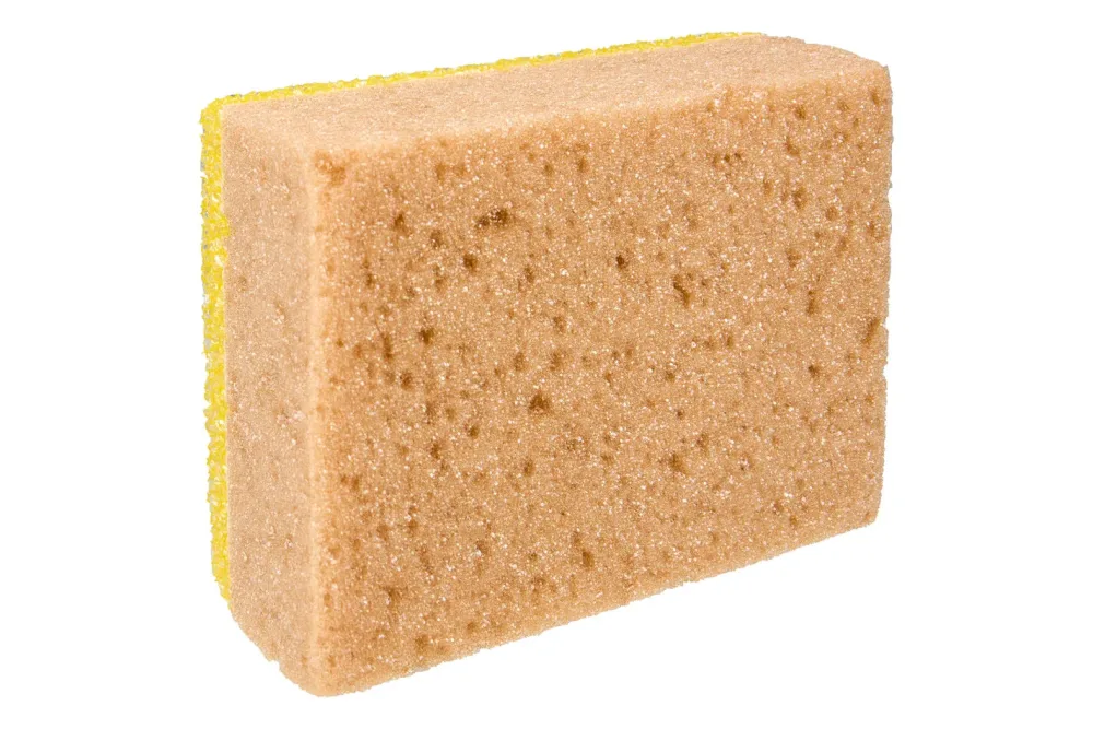 Ayce Kombischwamm | 9.5 × 6 cm