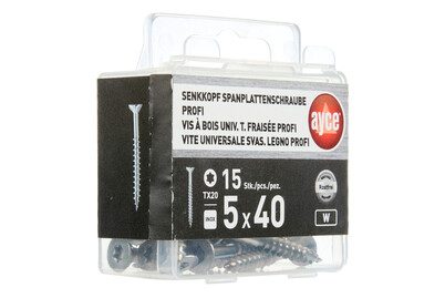 AYCE SK Spannplattenschraube inox