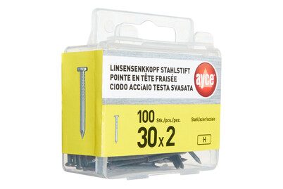AYCE Linsenkopf Stahlstift