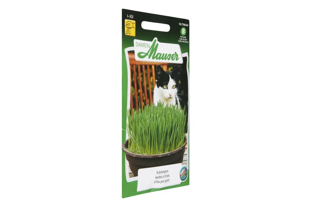 Samen Mauser Katzengras Portion