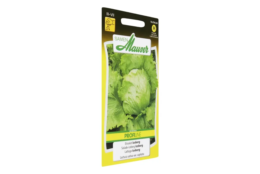 Samen Mauser Eissalat Iceberg