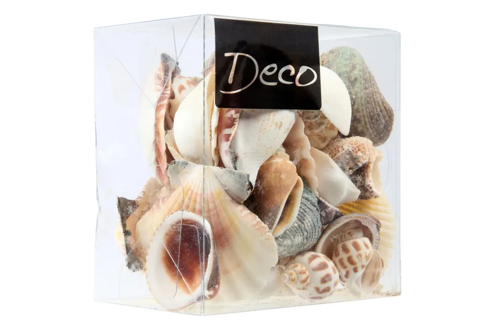 Muscheln Natur | 600 ml
