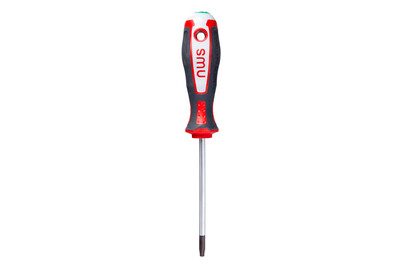 NWS Schraubenzieher TORX T20
