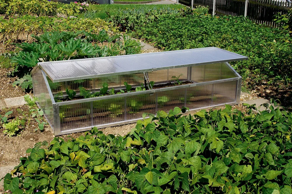 Neogard First Frühbeetkasten PC | 206 × 103 cm