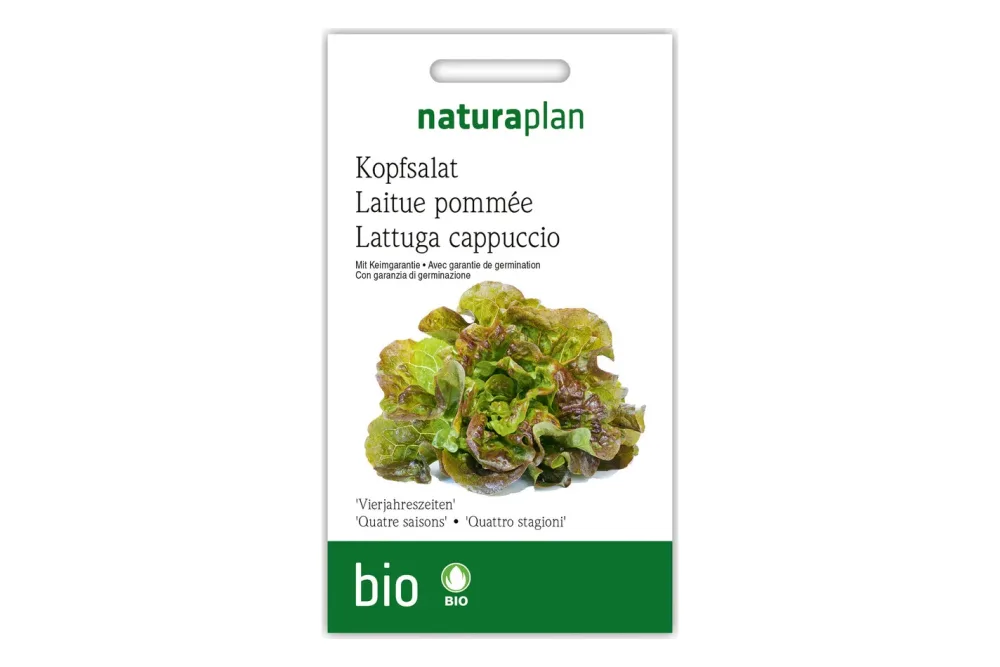 Naturaplan Bio-Kopfsalat Vierjahreszeiten