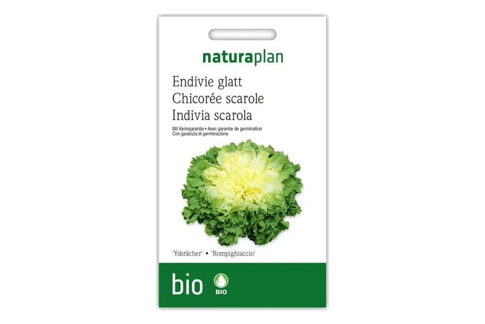 Naturaplan Bio-Endivie Ysbrächer
