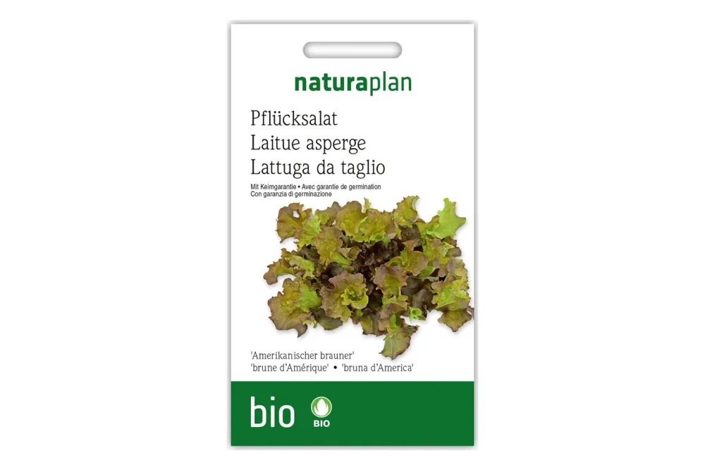 Naturaplan Bio Pflücksalat Amerikanischer Brauner | 1 Portion