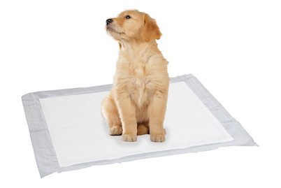 SwissPet Puppy Pads M 15 Stück
