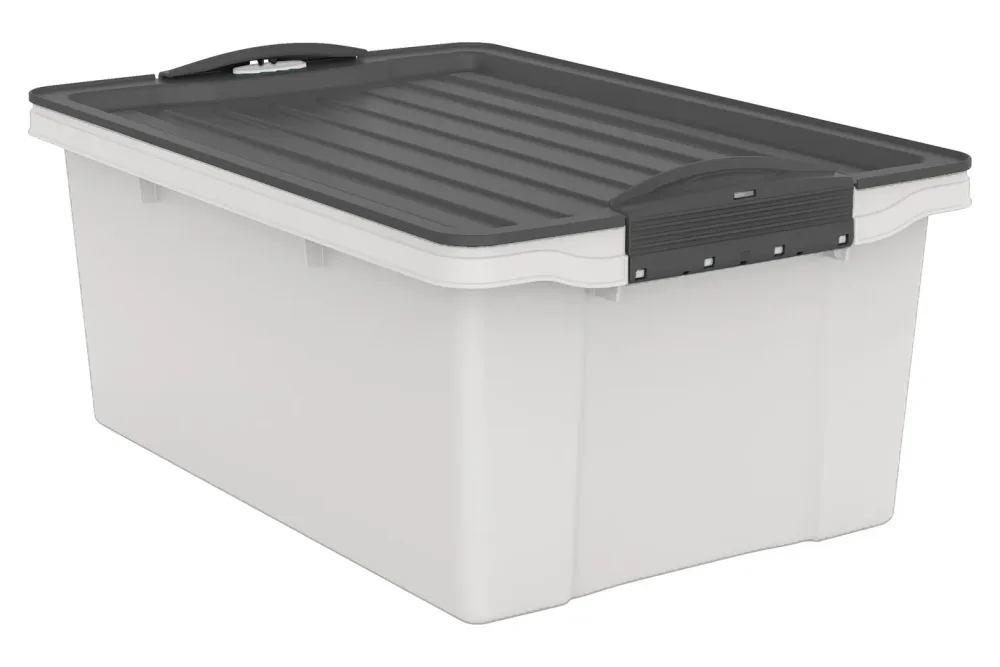 Rotho Aufbewahrungsbox inkl. Deckel Compact ECO | A4 | 39.5 x 27.5 x 18 cm | 13 l