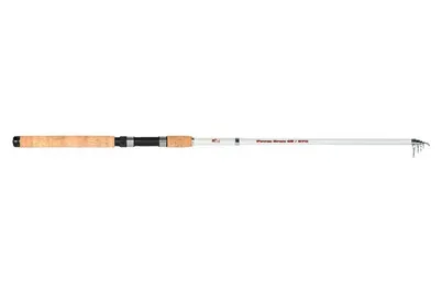 Red Eye Rute Power Spine 60 30-60gr - 3m00