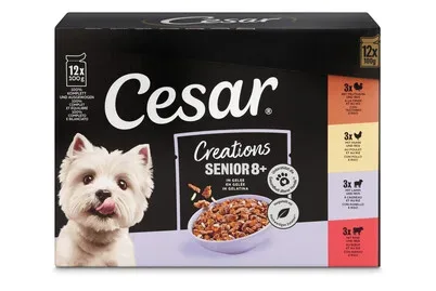 Cesar Creations Nassfutter Hund Senior Senior in Gelee 4x12x100g