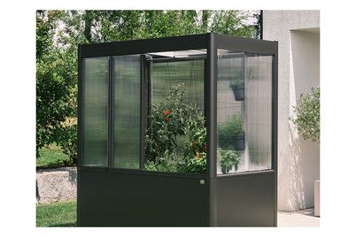 Biohort Rankhilfe für Gewächshaus Florentina