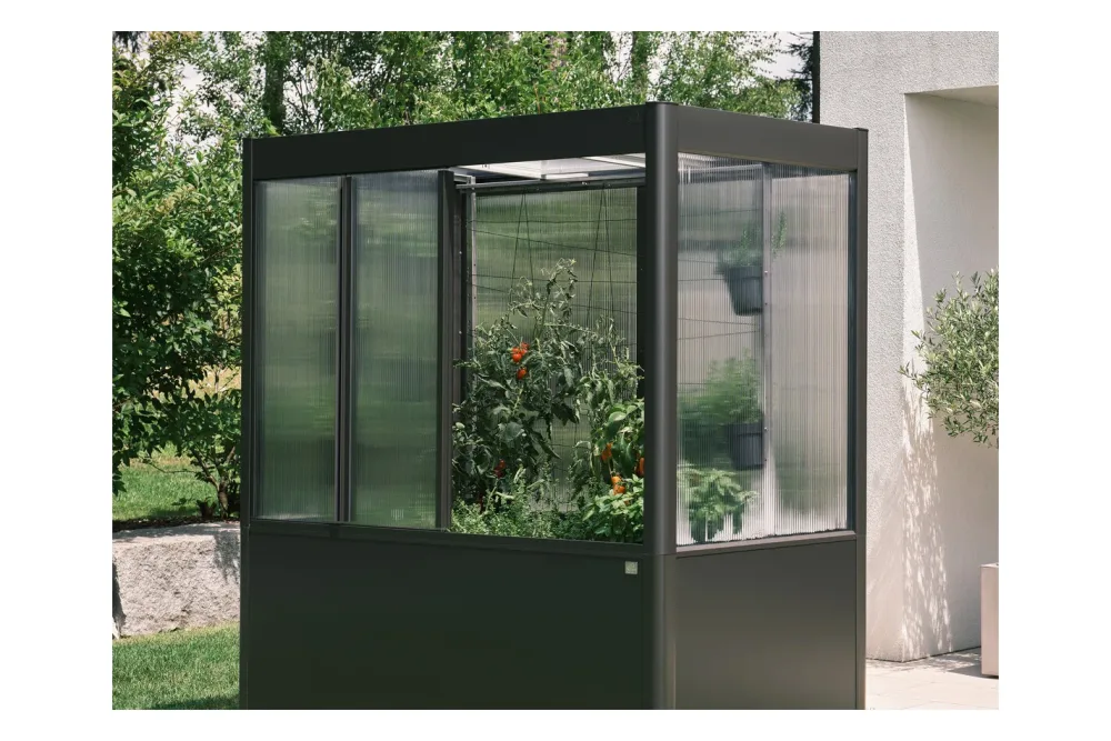 Biohort Rankhilfe für Gewächshaus Florentina