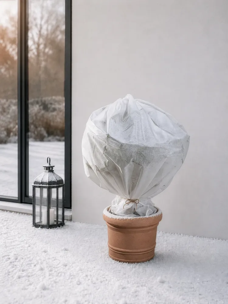 Nouvel Winterschutzvlies 75 x 150 cm (30g/m2) | weiss