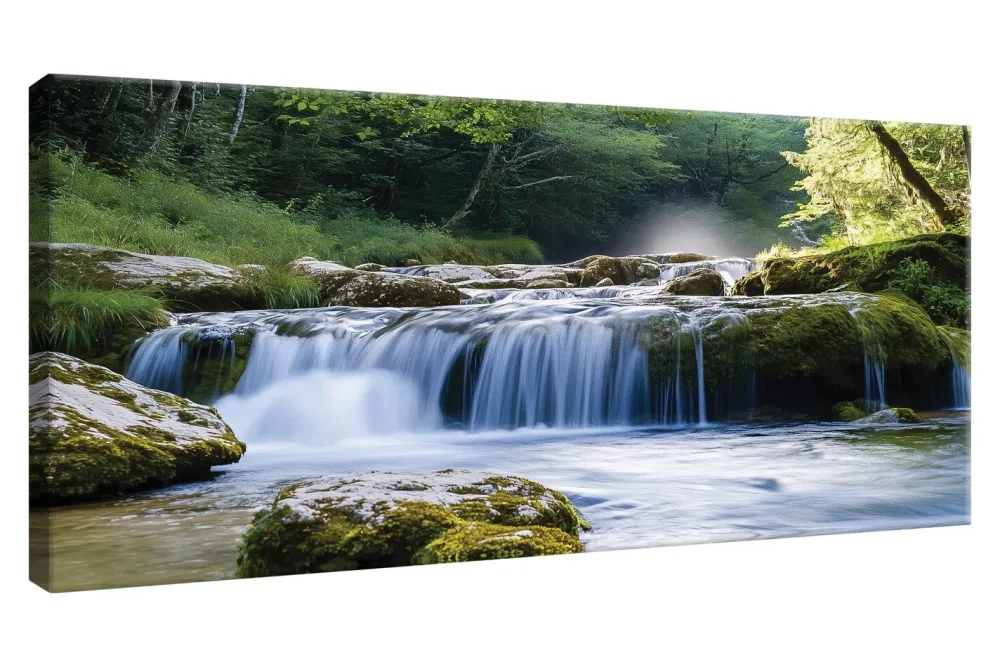 Wandbild 50x100 Rainforest