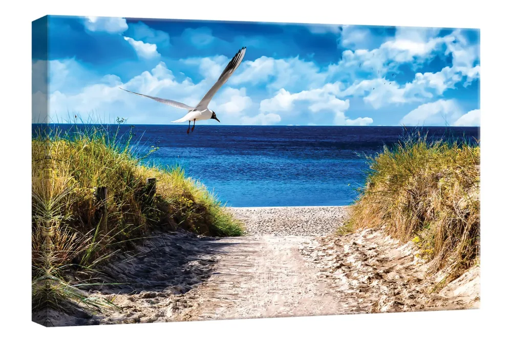 Wandbild 30x45 Seagull