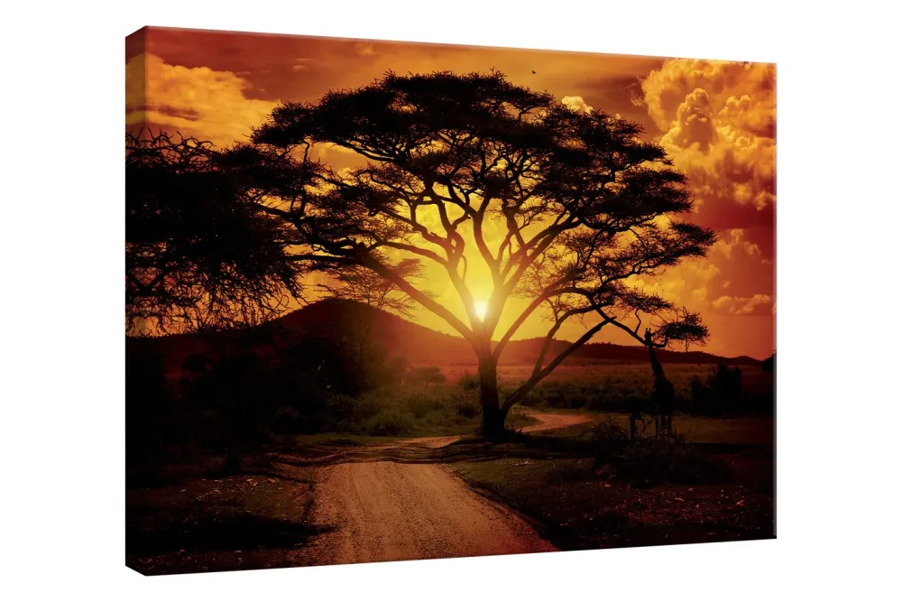 Wandbild 65x97 Sunset Savanna