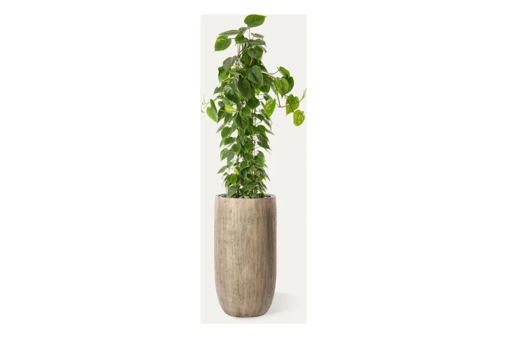 Premium Hydro-Säule | ⌀ 40 cm | 100 cm