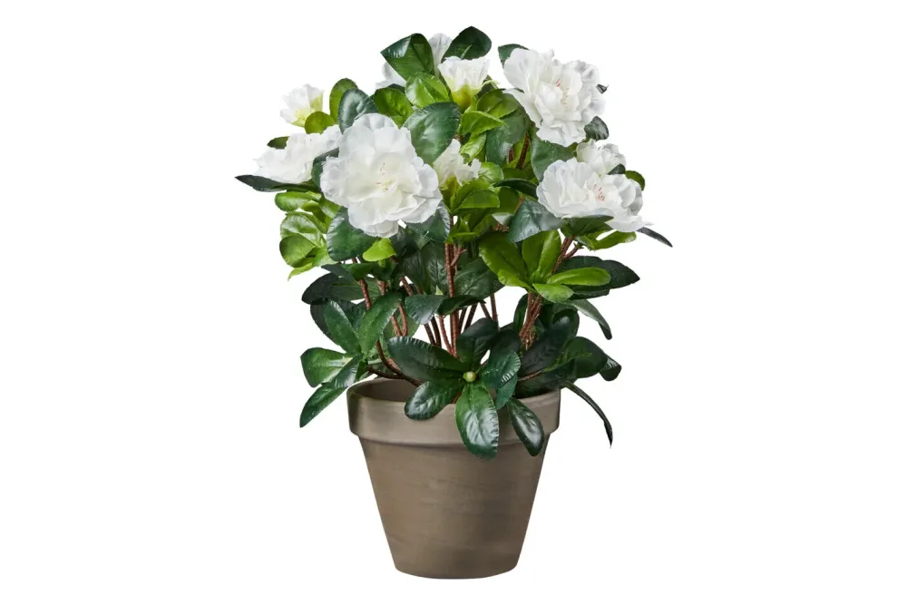 Mica Künstliche Azalee Weiss Topf Grau | 20 × 27 cm