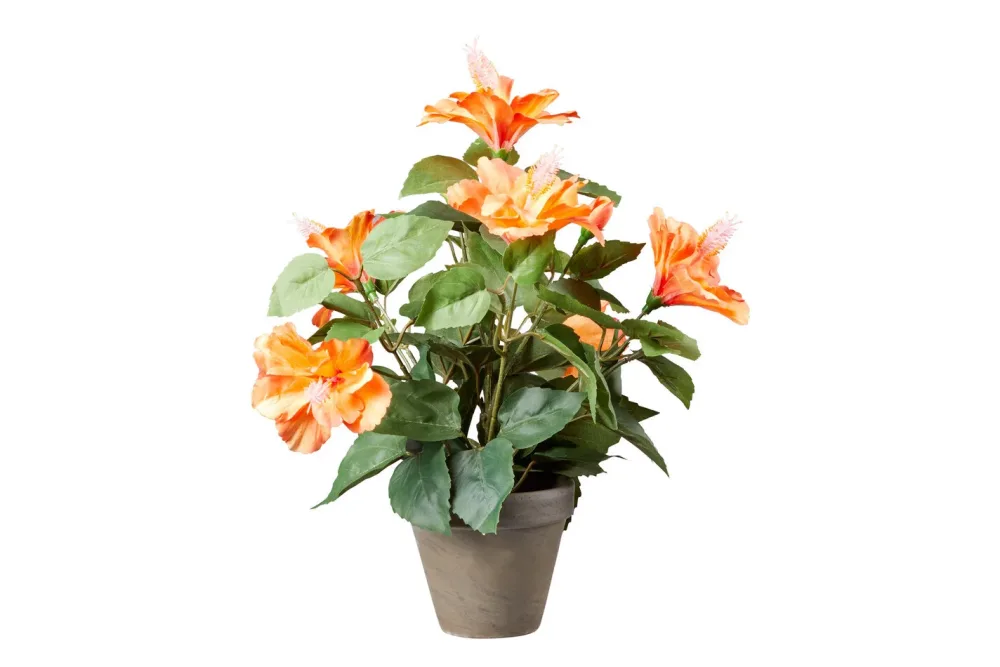 Mica Künstlicher Hibiskus Orange im Grauen Topf | 30 × 40 cm