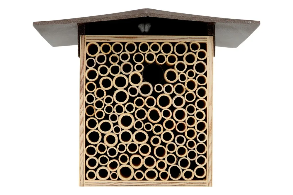 BeeHome One