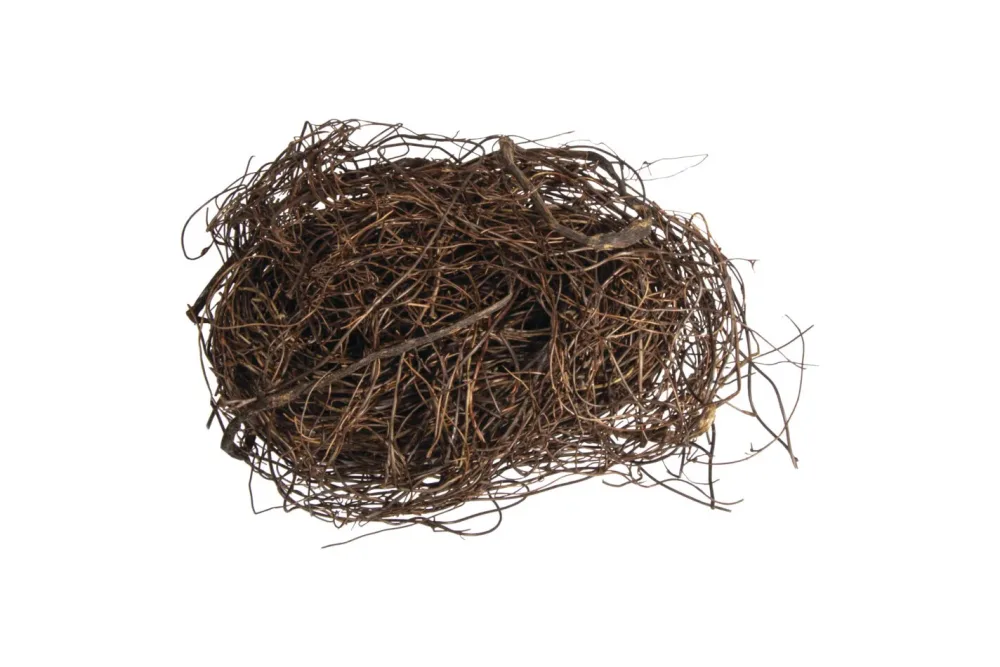 Mühlenbeckie Deko Zweige, natur, getrocknet, Beutel 50g