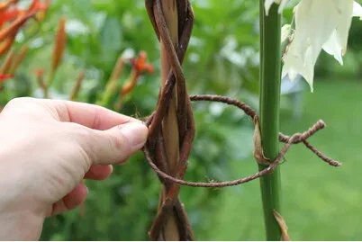 Videx Natursisal Kletterdraht | 5 m
