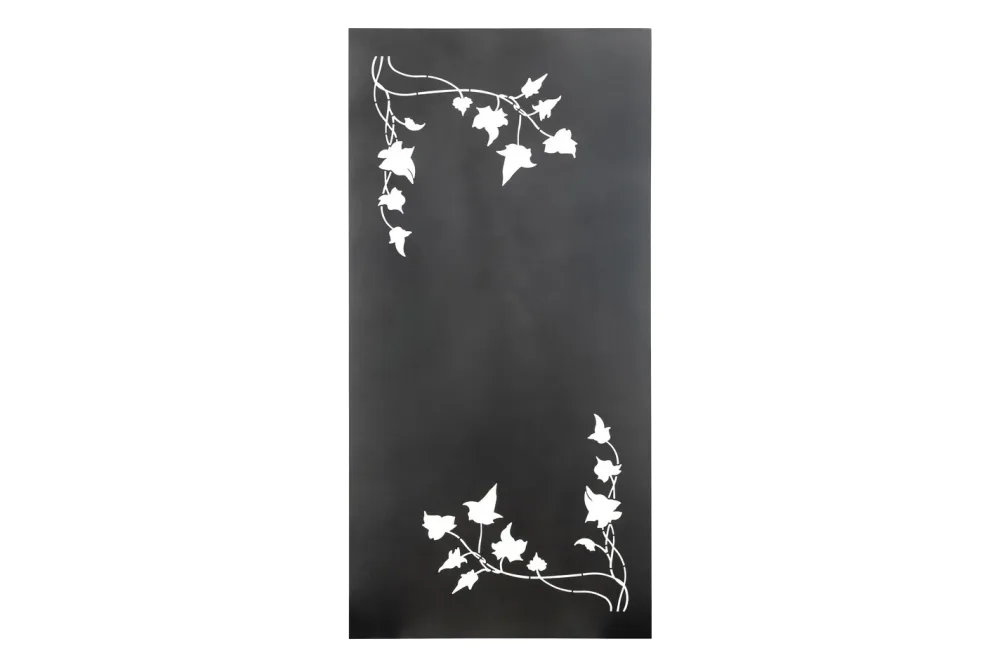 Nouvel Paravent Hedera Anthrazit | 2 × 1 m