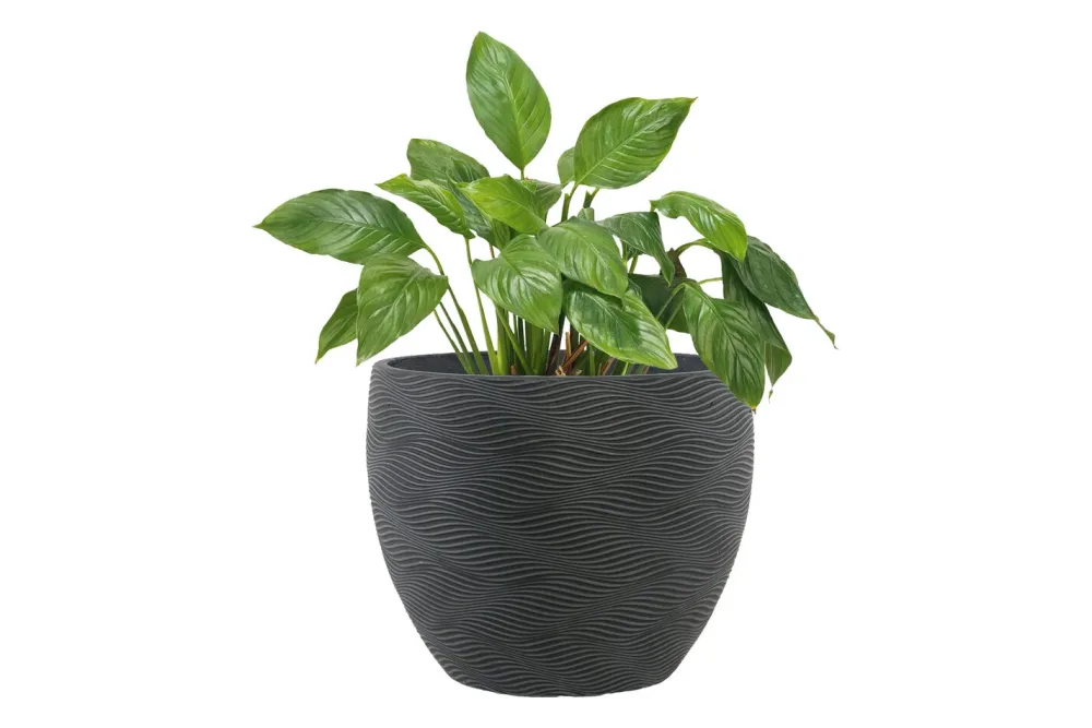 Pflanzgefäss Orcus Ø37xH30cm Black