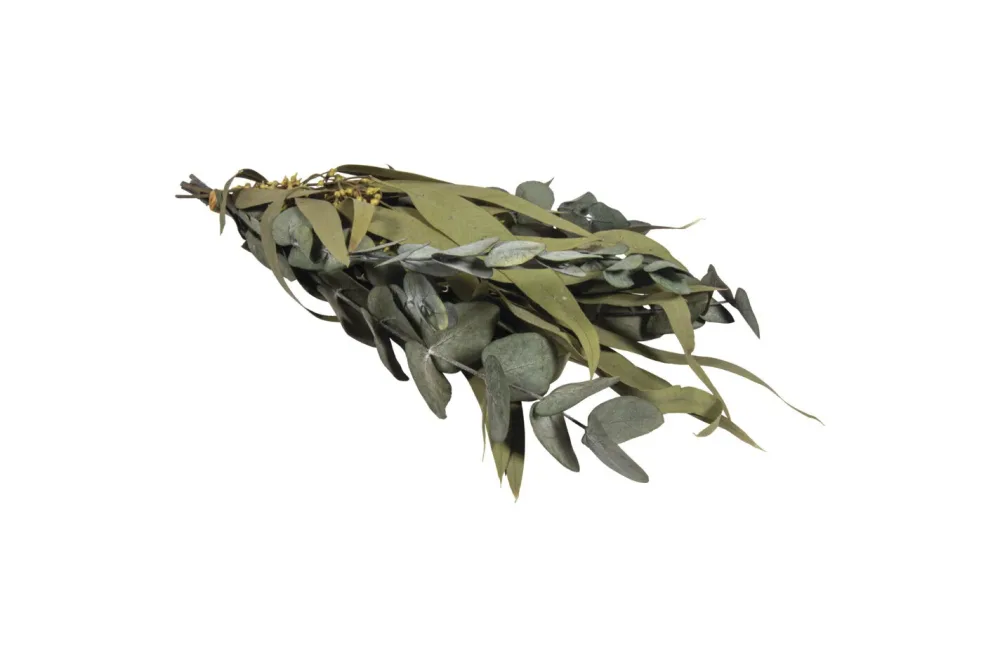Eukalyptus Bund mit Papiermanschette, 30-35cm, sortiert
