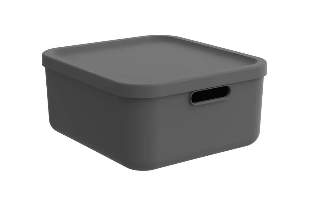 Rotho Box 12 l Albula Light