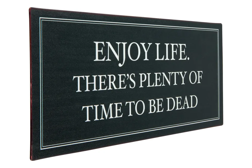 Metall Schild 30x13 cm Enjoy Life