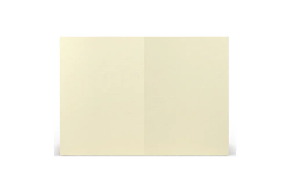 Paperado Karten DIN A6, FSC Mix Credit, 210x148mm, 220g/m2, Beutel 5Stück