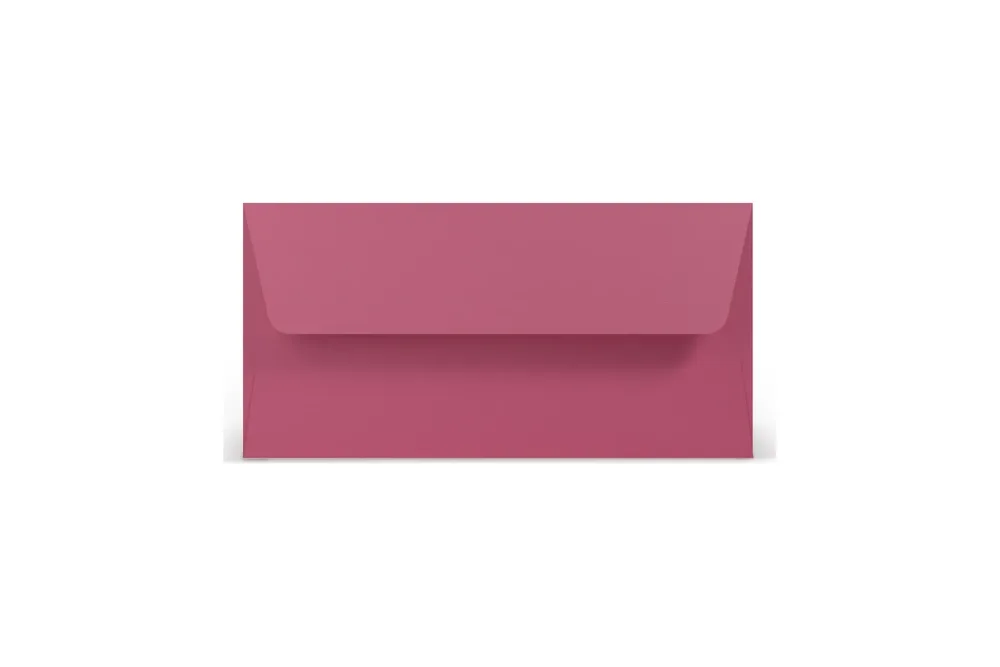 Paperado Umschläge DL, FSC Mix Credit, 110x220mm, 100g/m2, m. SF, Beutel 5Stück