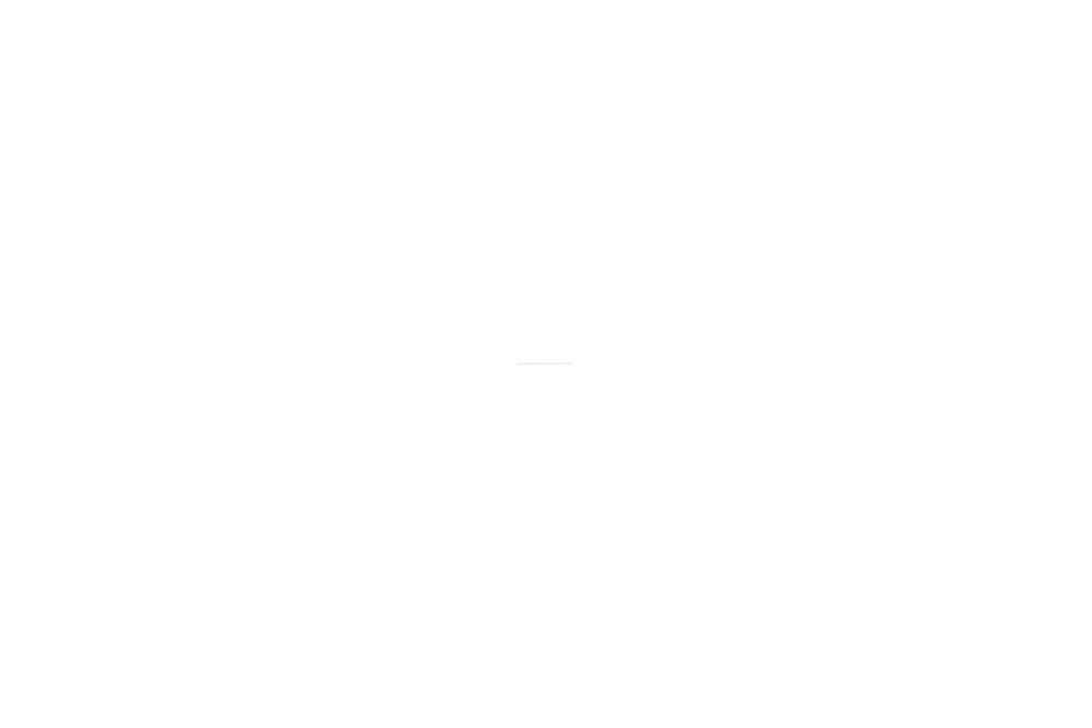d-c-fix Fensterfolie static Linia 90 cm x 1,50 m