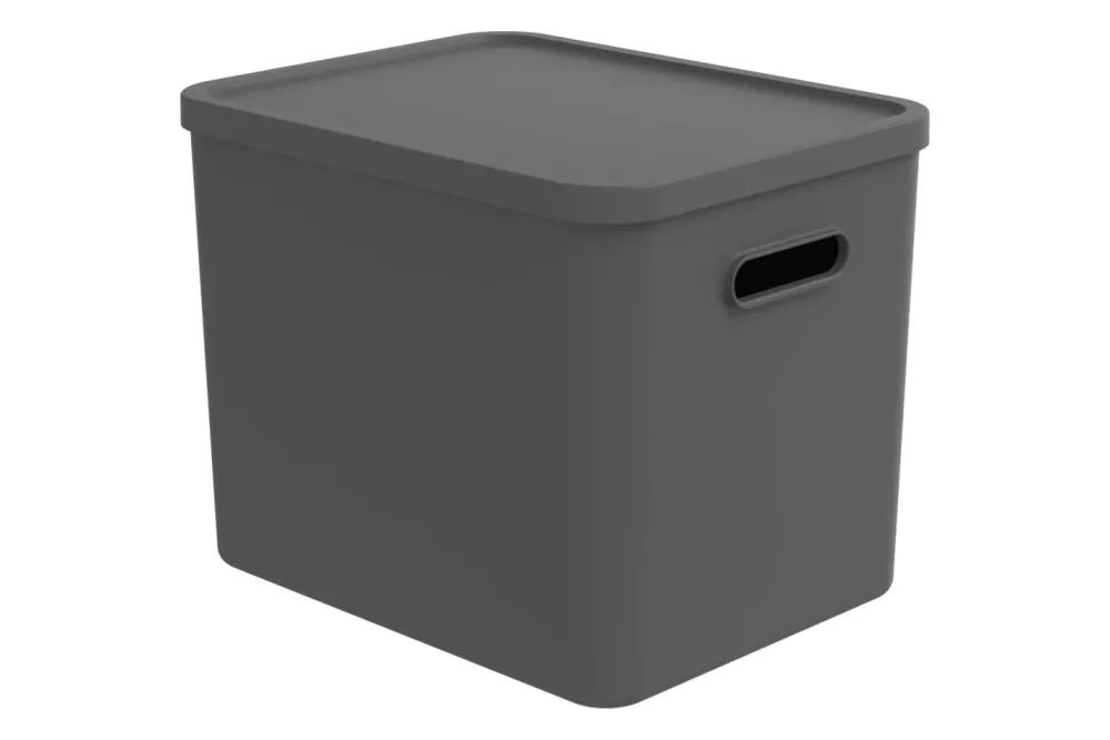 Rotho Multibox Albula Anthrazit | 37 x 29 x 30 cm | 27 l