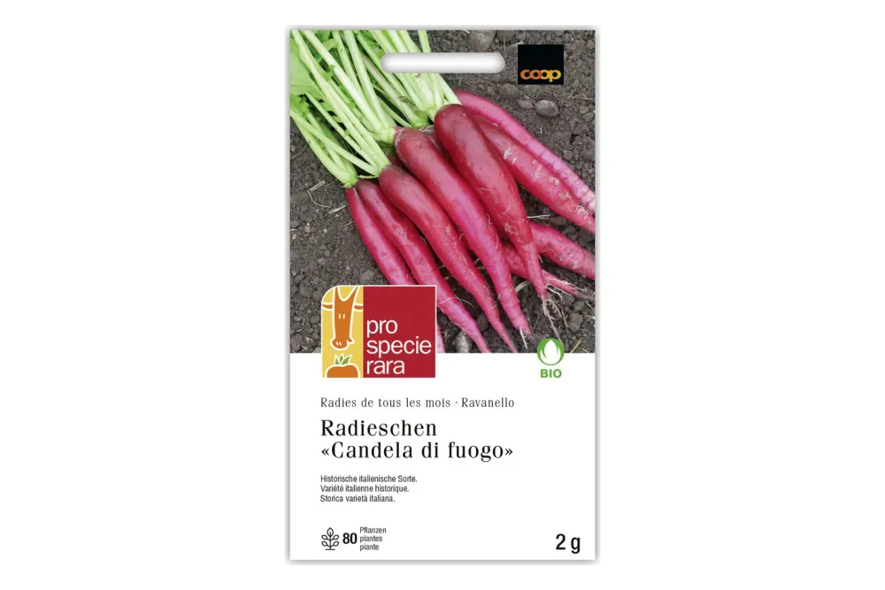 PSR Bio Radieschen Candela di Fuogo