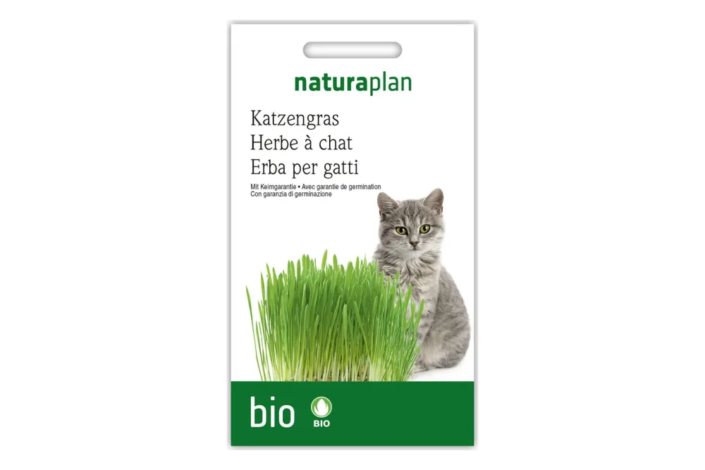 Naturaplan Bio Katzengras