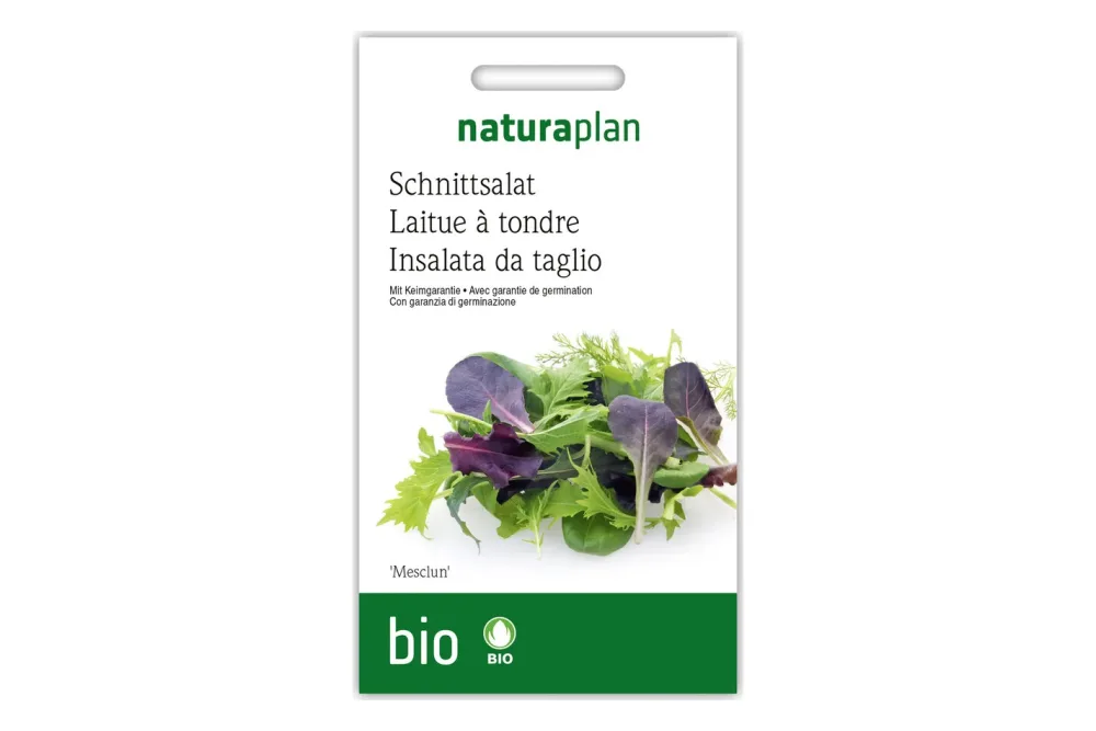 Bio Schnittsalat Mesclun