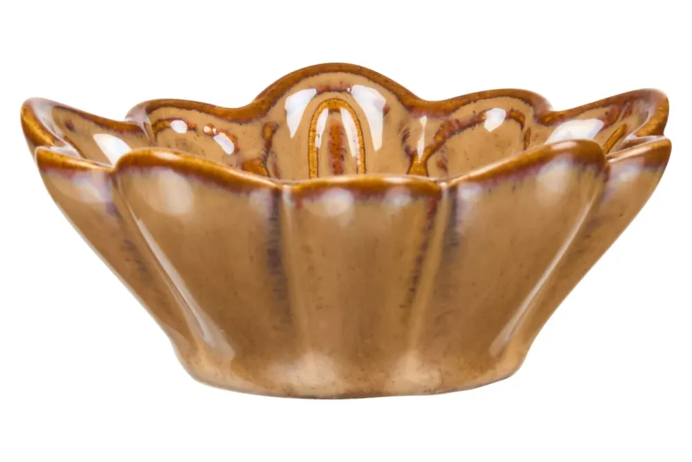 Muschelschale