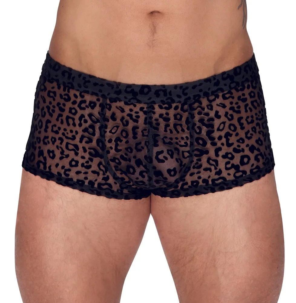 Pants aus feinem Powernet mit Leo-Samtflockprint