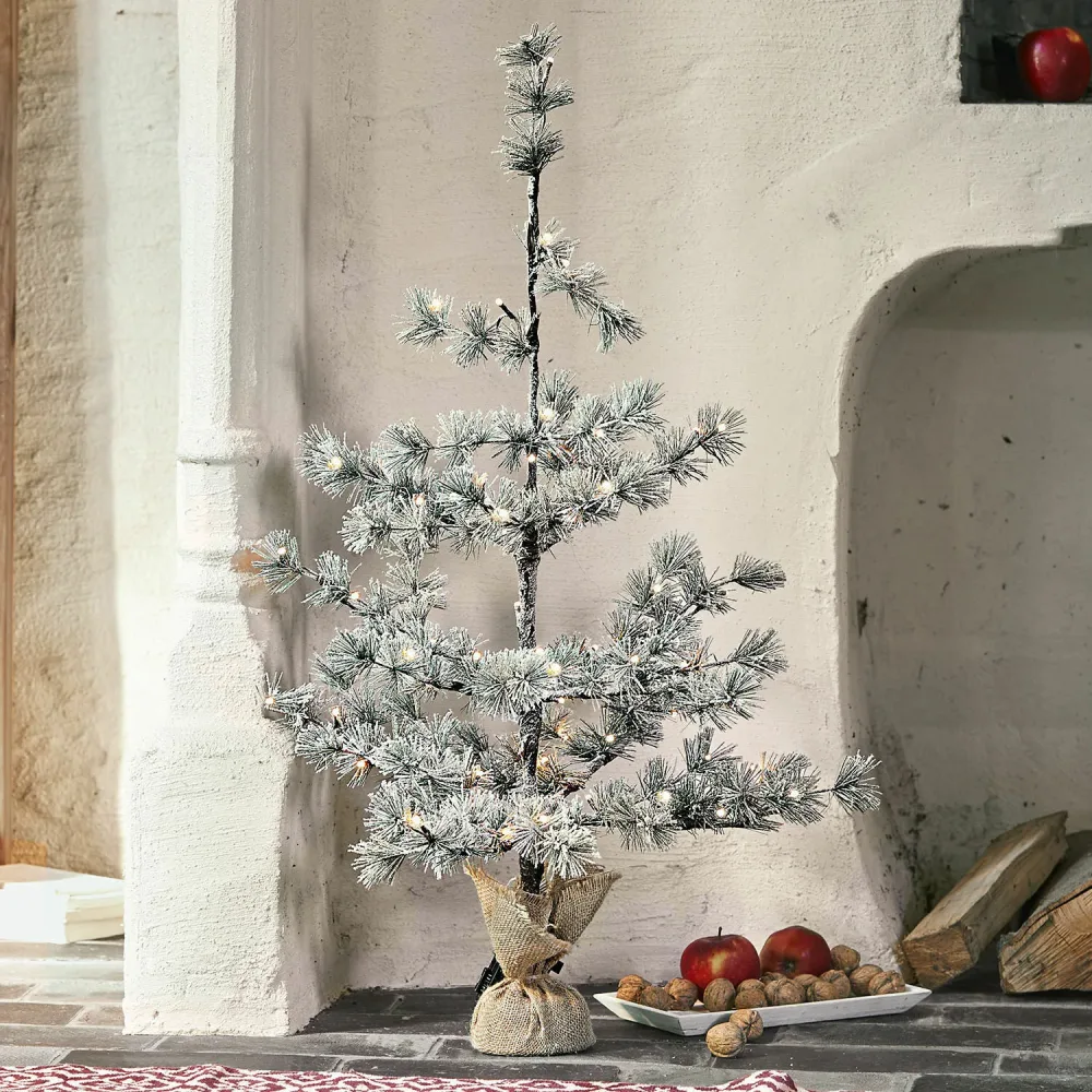 Weihnachtsbaum Falkirk