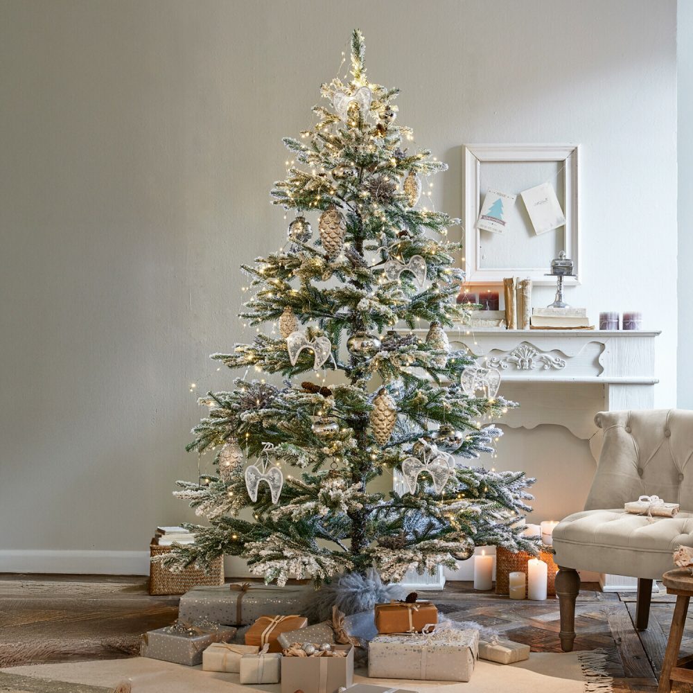 Weihnachtsbaum Lokossa