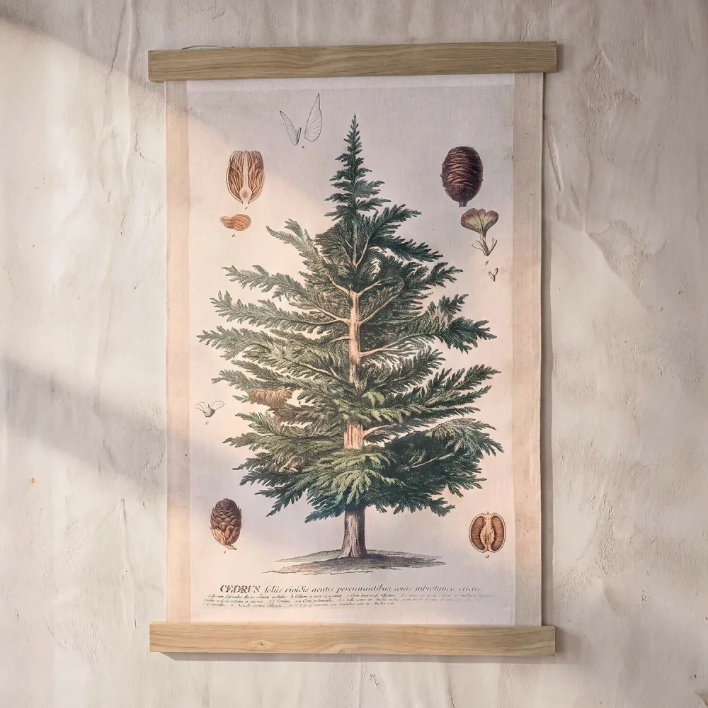 Wandbild Ulmevaine