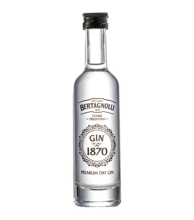 Bertagnolli Gin 1870 Premium Dry Gin Mini / 40 % vol / 0,05 Liter-Flasche