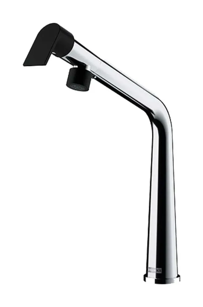 Franke I-con Schwenkauslauf Armatur Chrom