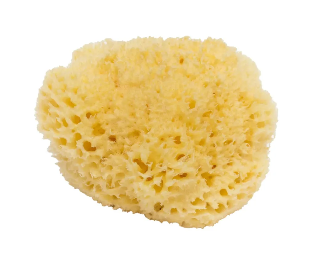 BELLINI BA-SA12 Honeycomb No. 12 Naturschwamm