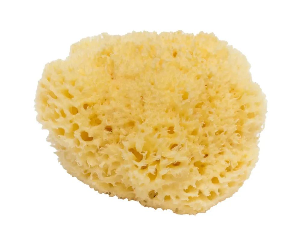 BELLINI BA-SA14 Honeycomb No. 14 Naturschwamm